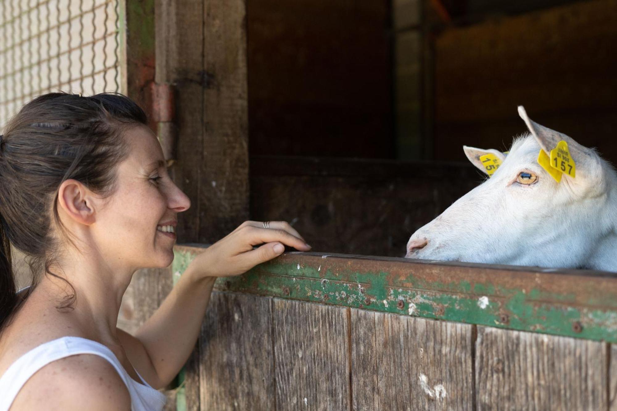 Horse Farm Holiday Pr' Kolenc Zgornje Gorje Bagian luar foto